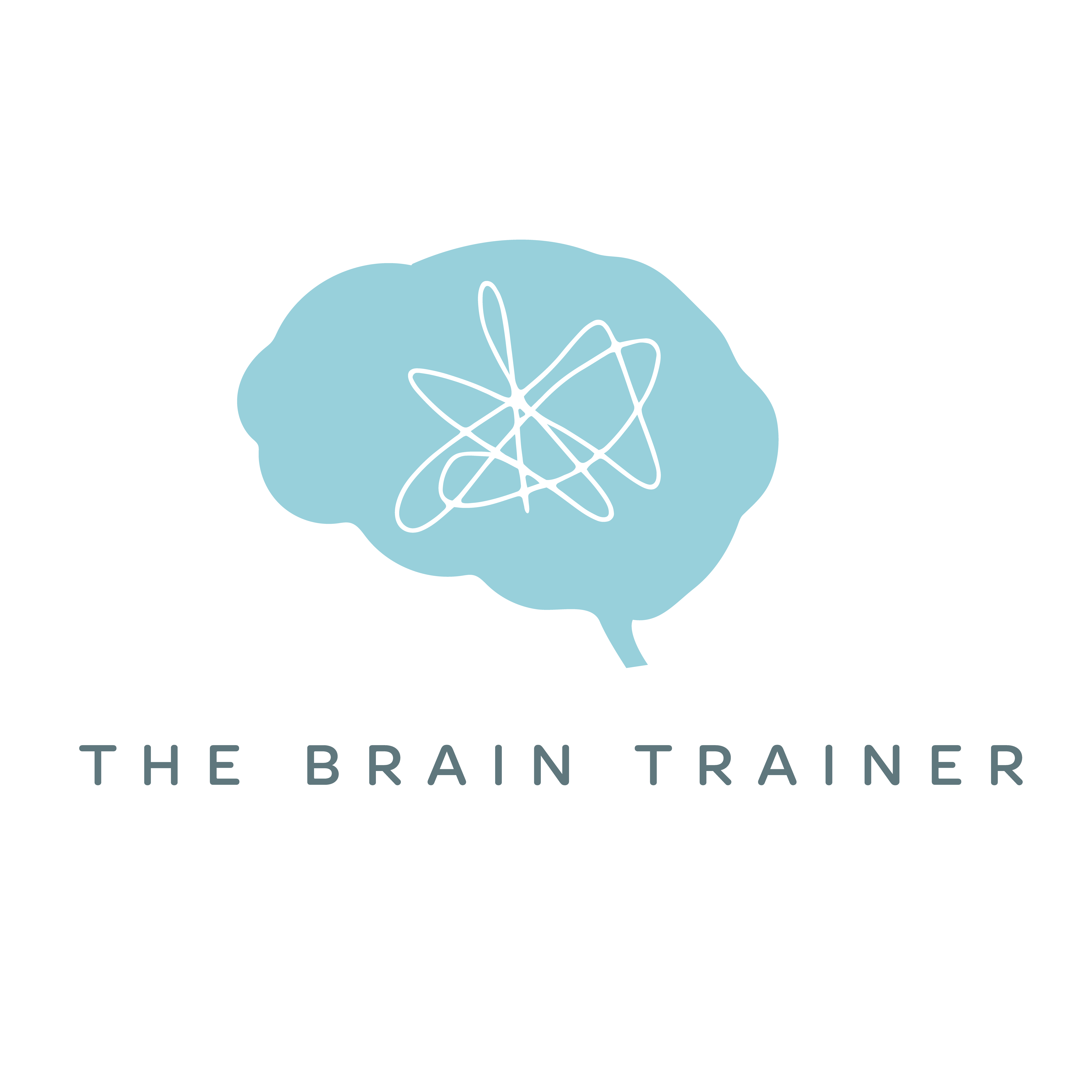 The Brain Trainer